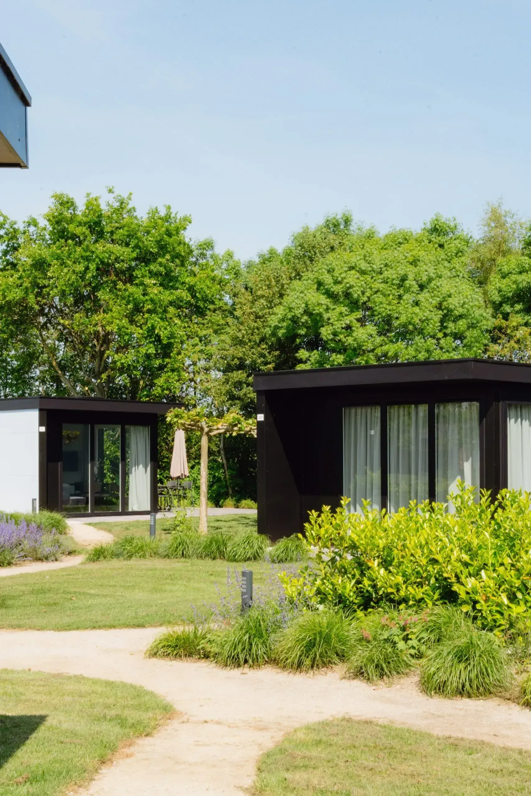 Modern villas of The Lake Tiny Houses surrounded by greenery