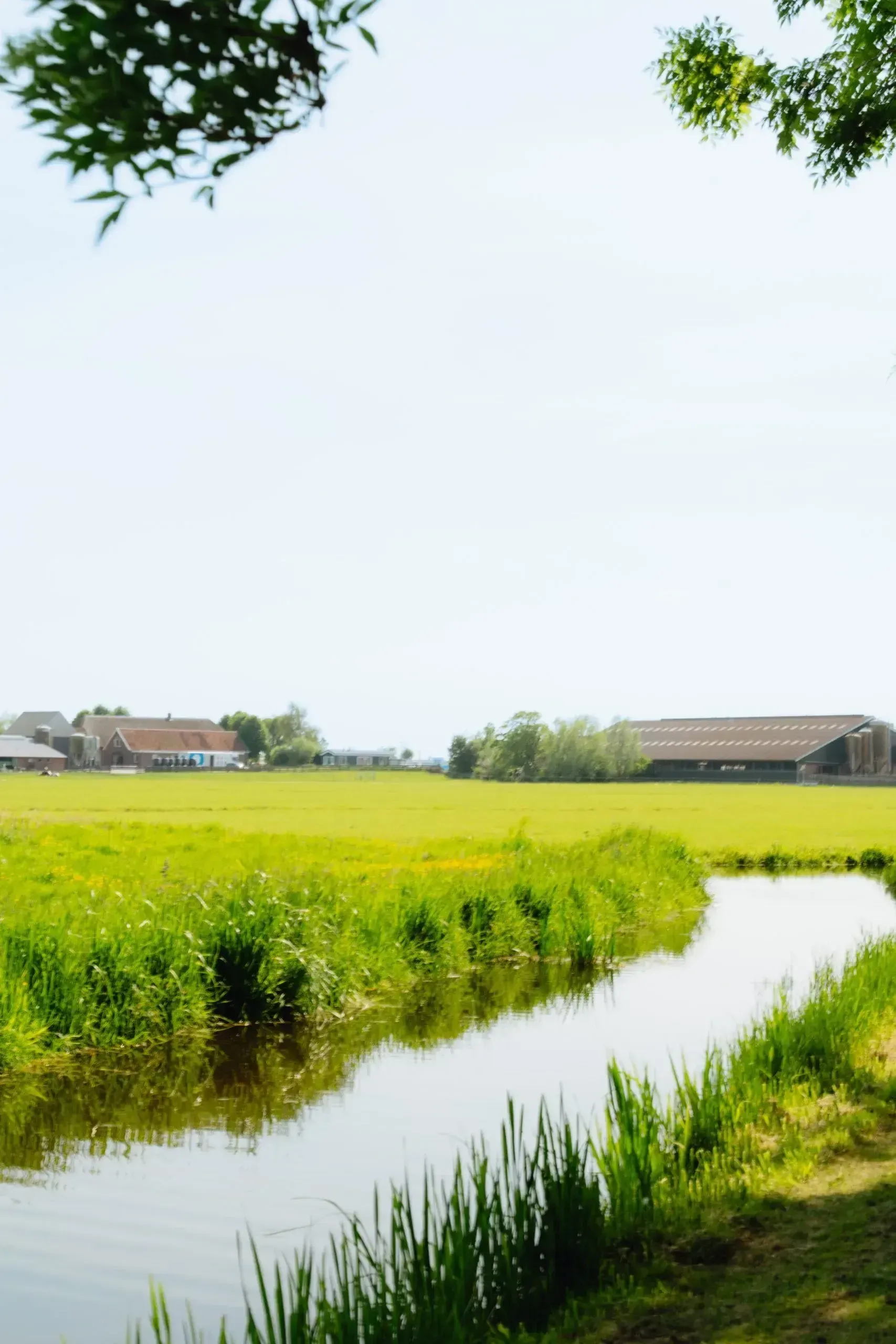 A canal path running between the polder fields