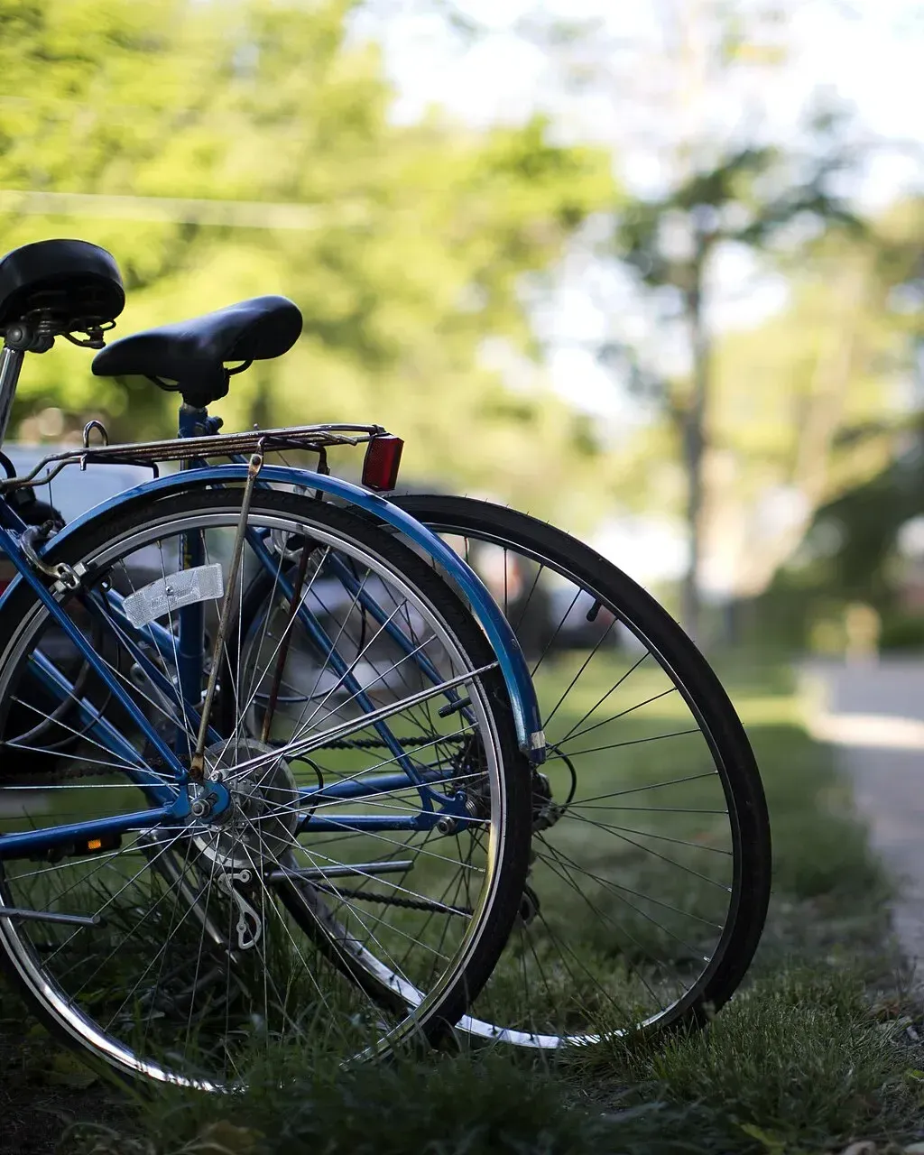 Two bicycles parked on the grass by a quiet path