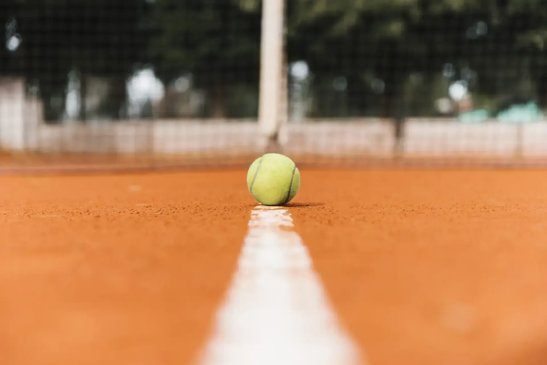 Tennis ball on the court