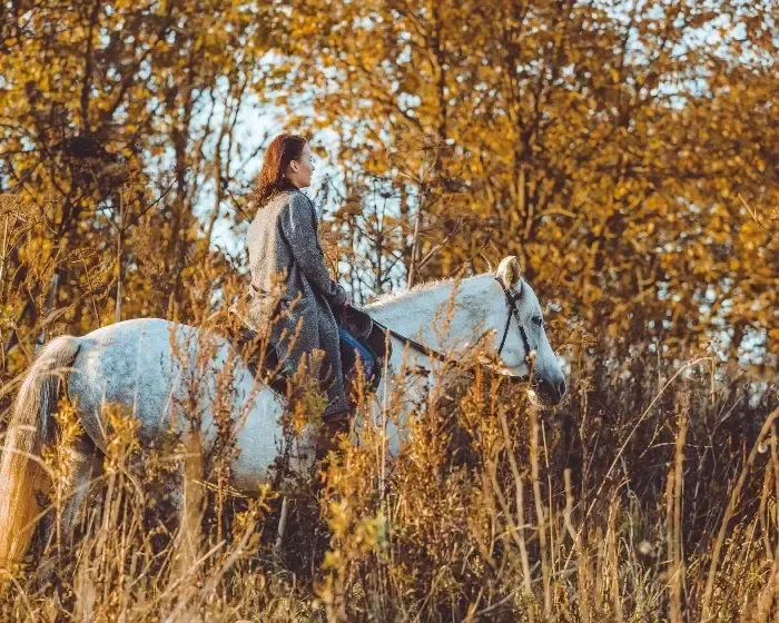 Horse riding through autumn trails
